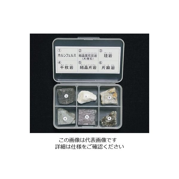 東京サイエンス 岩石標本（岩石標本変成岩6種） 1セット 3-657-03（直送品）