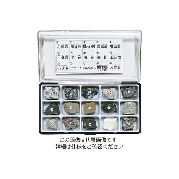 東京サイエンス 岩石標本(岩石標本15種) 3-657-06 1セット（直送品）