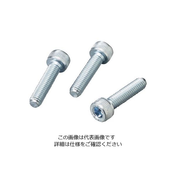 サンコーインダストリー 六角穴付きボルト ステンレス 25本入 M445 1袋(25本) 4-302-38（直送品）