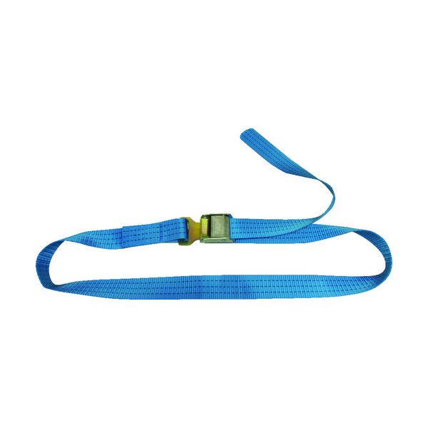 テザック TESAC ラッシングベルト(ベルト荷締機)カムバックル式エンドレスフックタイプ C15K000-KD040A 1本(1個)（直送品）