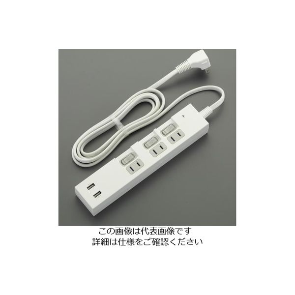 エスコ AC100V/2m タップ(USBポート 2口/個別スイッチ) EA815GM-82B 1セット(2個)（直送品）
