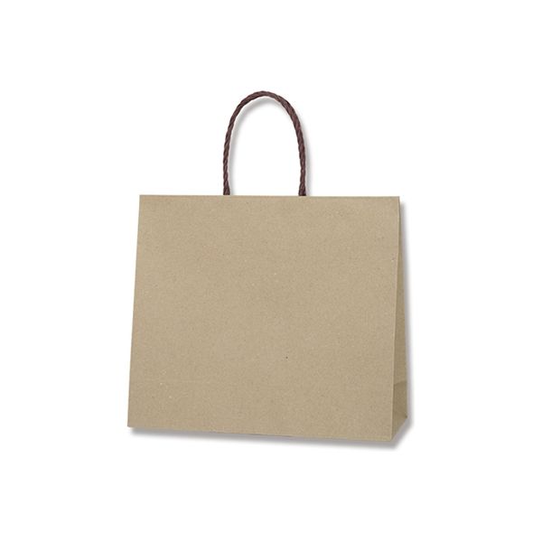 【ケース販売】HEIKO 紙袋 スムースバッグ 3才S ライナー無地 003154109 1ケース(10枚×20袋 合計200枚)（直送品）