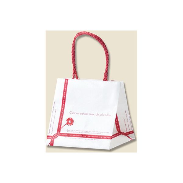 【ケース販売】HEIKO 紙袋 Pスムースバッグ 18-18 ルバン 003155360 1ケース(25枚×12袋 合計300枚)（直送品）