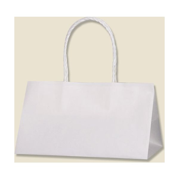 【ケース販売】HEIKO 紙袋 Pスムースバッグ 25-15 白無地 003155375 1ケース(25枚×12袋 合計300枚)（直送品）