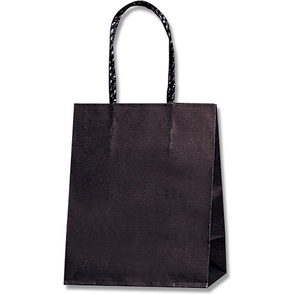 【ケース販売】HEIKO 紙袋 スムースバッグ 16-09 黒無地 003155901 1ケース(25枚入×12袋 合計300枚)（直送品）