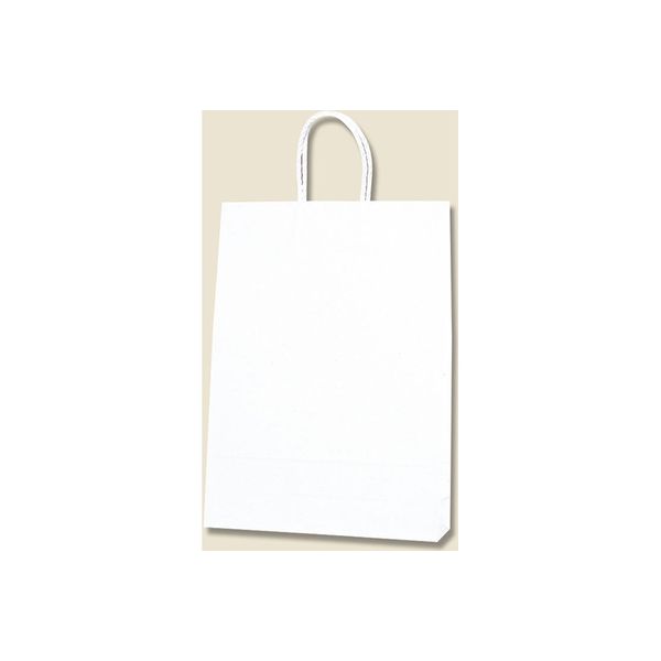 【ケース販売】HEIKO 紙袋 スムースバッグ 2才 白無地 003157300 1ケース(25枚入×12袋 合計300枚)（直送品）