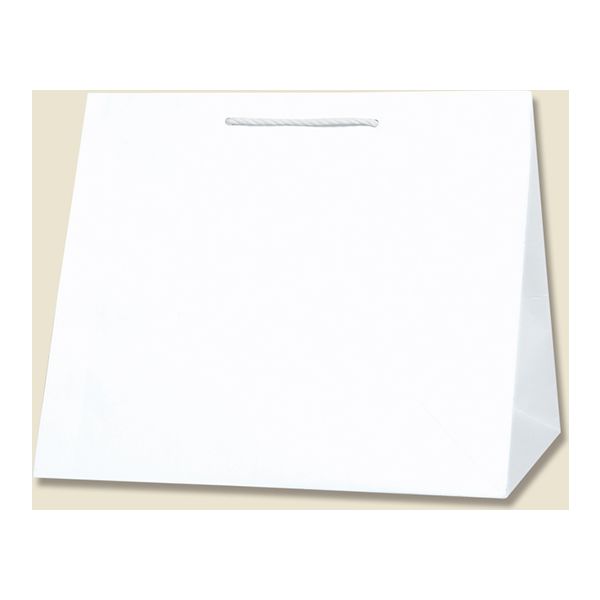 【ケース販売】HEIKO 紙袋 T型チャームバッグ W3 晒白無地 003160800 1ケース(10枚入×10袋 合計100枚)（直送品）