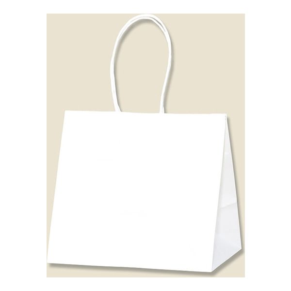 【ケース販売】HEIKO 紙袋 ロングハンドルバッグ 白無地 003269980 1ケース(25枚入×4袋 合計100枚)（直送品）