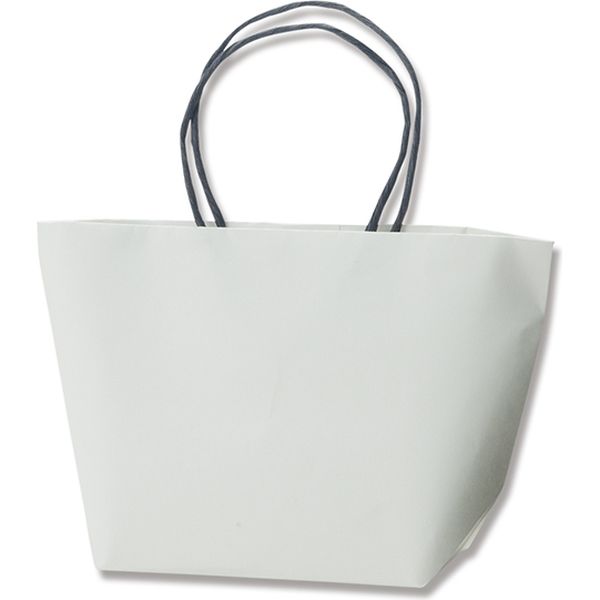 【ケース販売】HEIKO 紙袋 プチバッグ F9-6(舟型) 白無地 004087002 1ケース(10枚×20袋 合計200枚)（直送品）