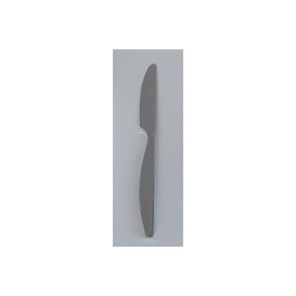 小林工業 レイリア デザートナイフ鋸刃 0-09711-100（直送品）