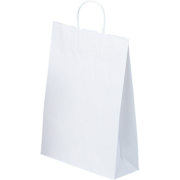 ヤマニパッケージ 手提袋白無地9号 YOH-18 1ケース（300枚：50枚クラフト包装）（直送品）