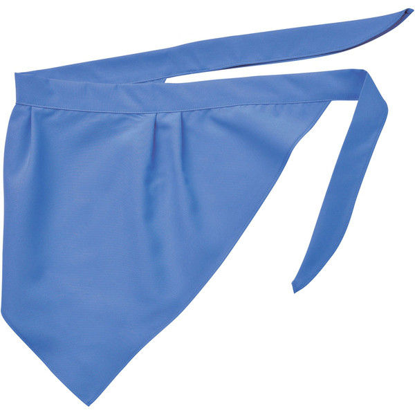 住商モンブラン MONTBLANC（モンブラン） 三角巾 兼用 サックス フリー 9-194（直送品）
