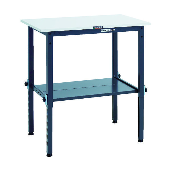 RAEM-0960LT2 DG（直送品）