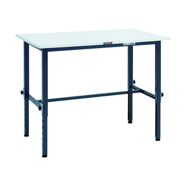 RAEM-1200 DG（直送品）