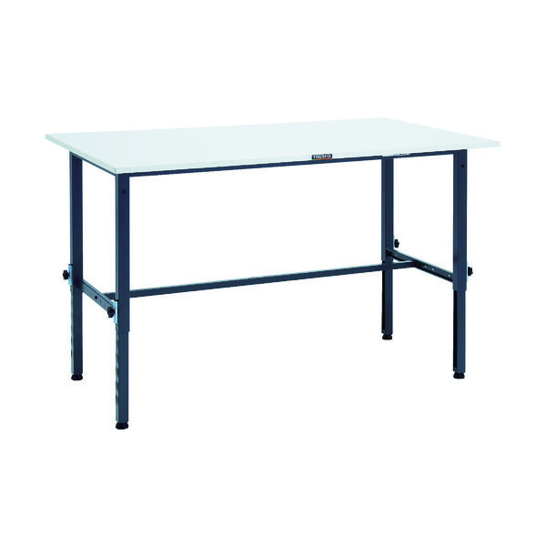 RAEM-1509 DG（直送品）