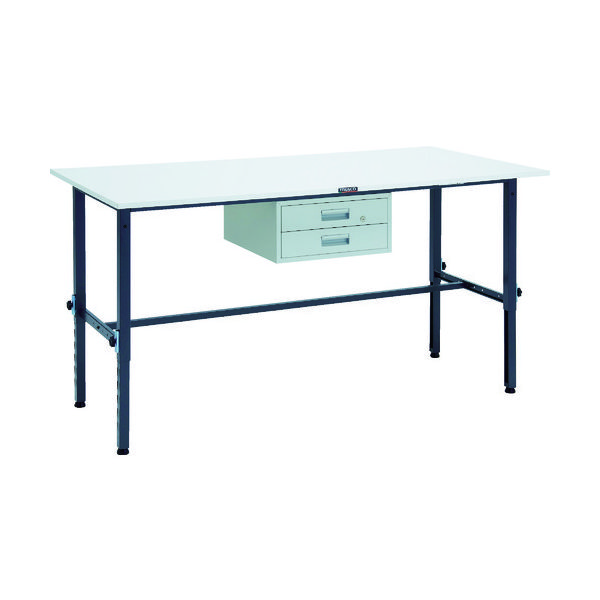 RAEM-1809F2 DG（直送品）