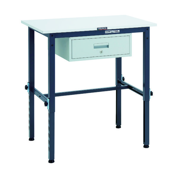 RAEM-0960F1 DG（直送品）