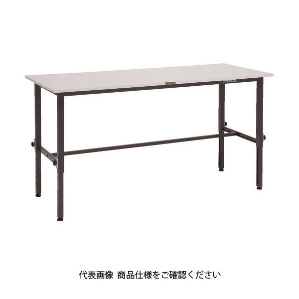 RAEM-1560 DG（直送品）