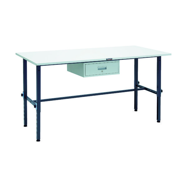 SAEM-1809F1 DG（直送品）