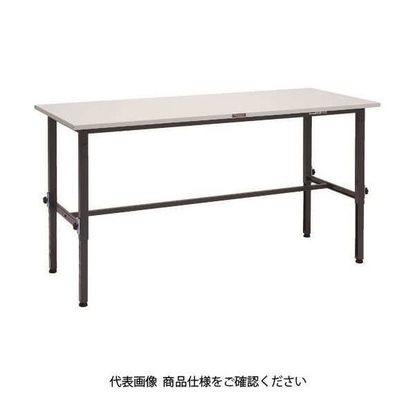 SAEM-1860 DG（直送品）