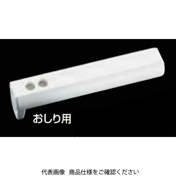 LIXIL おしり用ノズル先端 CWAー244A CWA-244A 1セット(10個)（直送品）