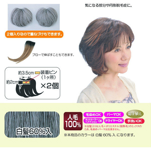 ソシエ・城ノ内 ミニヘアピース TSS-10 白髪60％（2個入） 4560205150895（取寄品）