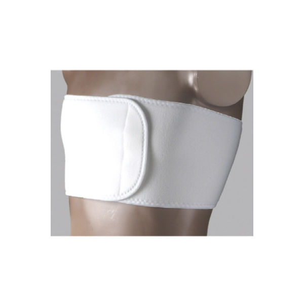 日本衛材 バストタイGX(3L) 23-7056-04 1セット(2箱)（直送品）