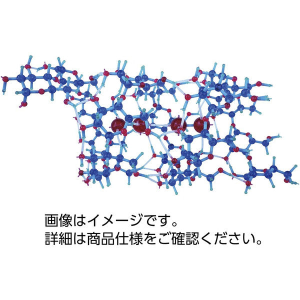 タロウ 分子構造模型（モル・タロウ） アミロース PSA-1 31380565（直送品）