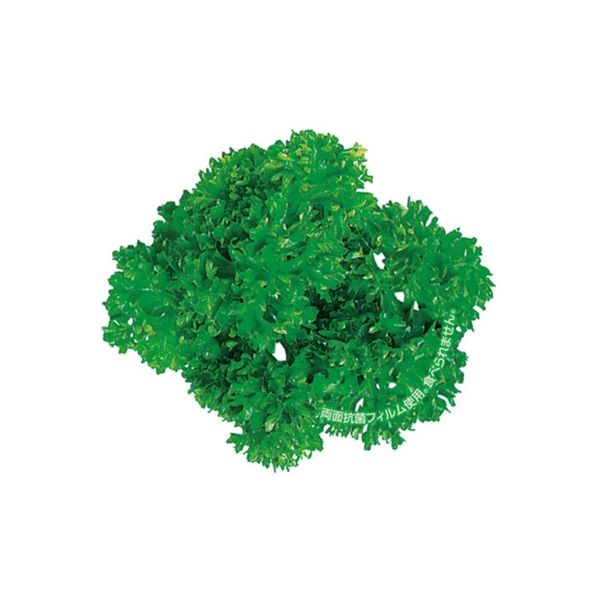 ユニバース グルメシート 抗菌パセリ 丸 11203 1包：24000枚（1000×24）（直送品）