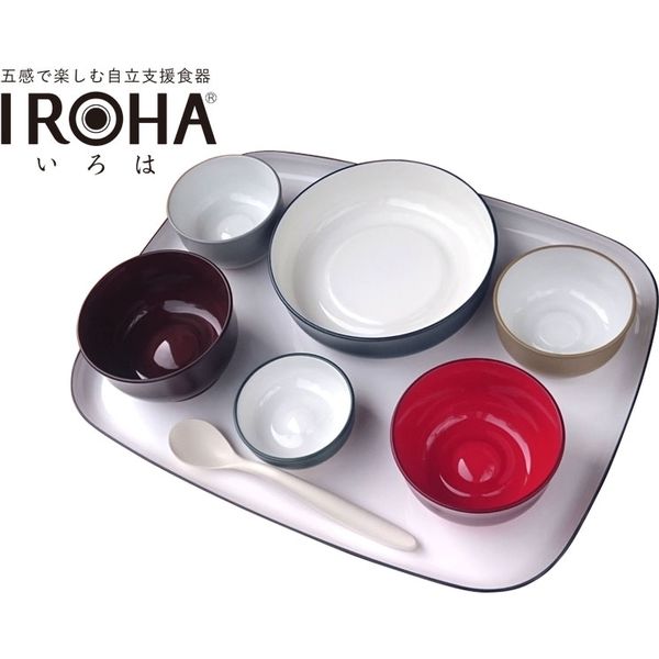 大成樹脂工業 五感で楽しむ自立支援食器IROHA フルセット オリジナル色 IROHA01　【食事用品】介援隊カタログ E1454（直送品）
