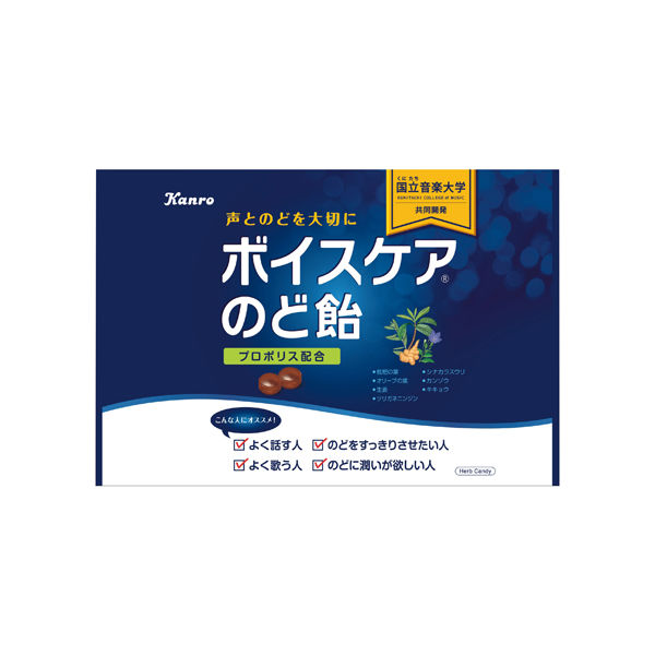 カンロ ボイスケアのど飴 1袋（585g） - アスクル