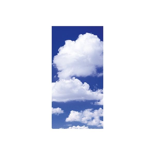 アルファ 雲タペストリー（防炎加工） TC8-0020（直送品）