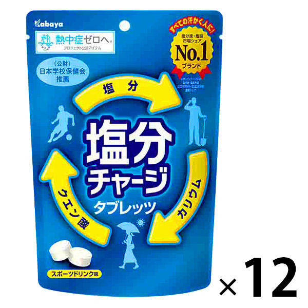 塩分チャージタブレッツ 1セット（1袋×12） カバヤ食品 塩タブレット