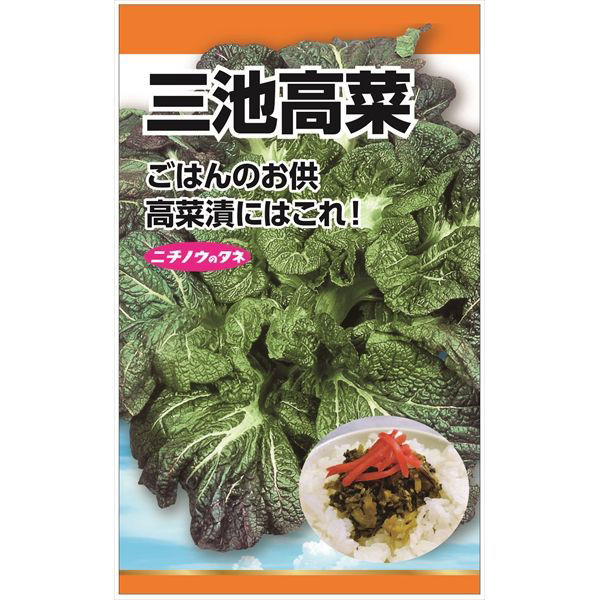 ニチノウのタネ 三池高菜 日本農産種苗 4960599205209 1セット（5袋入）（直送品）