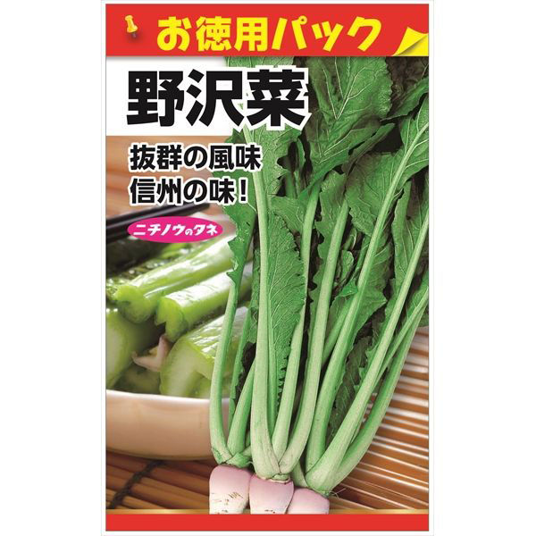 ニチノウのタネ 野沢菜（徳用） 日本農産種苗 4960599220202 1セット（5袋入）（直送品）