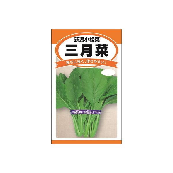 ニチノウのタネ 三月菜（新潟小松菜） 日本農産種苗 4960599240903 1セット（5袋入）（直送品）