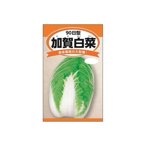 ニチノウのタネ 加賀白菜（90日型） 日本農産種苗 4960599247308 1セット（5袋入）（直送品）