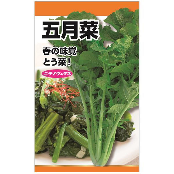 ニチノウのタネ 五月菜（川流菜） 日本農産種苗 4960599247506 1セット（5袋入）（直送品）