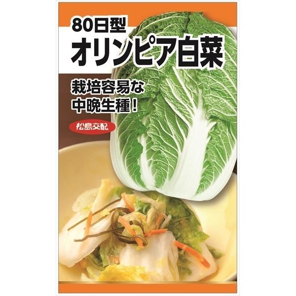 ニチノウのタネ 松島交配 オリンピア白菜 日本農産種苗 4960599233400 1セット（3袋入）（直送品）