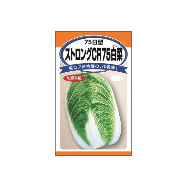 ニチノウのタネ 松島交配 ストロングCR75白菜 日本農産種苗 4960599233509 1セット（3袋入）（直送品）