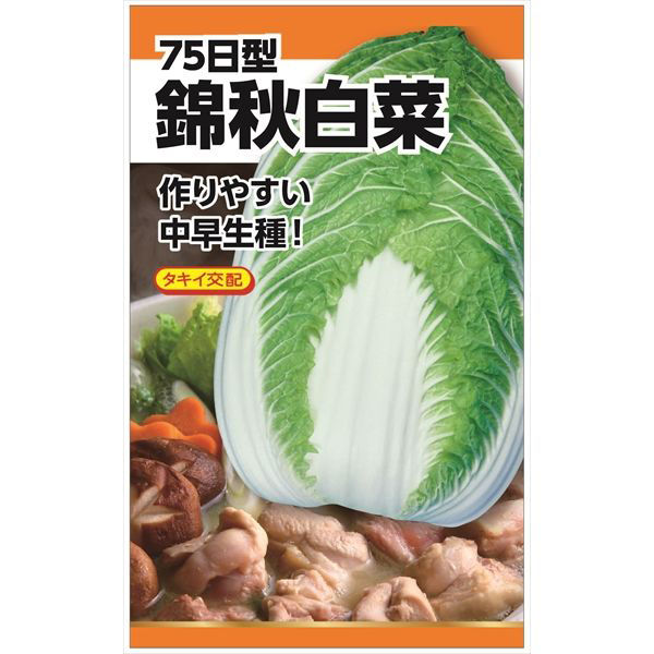 ニチノウのタネ タキイ交配 錦秋白菜 日本農産種苗 4960599235800 1セット（3袋入）（直送品）