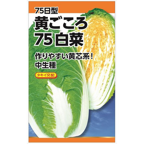 ニチノウのタネ タキイ交配 黄ごころ75日白菜 日本農産種苗 4960599236906 1セット（3袋入）（直送品）