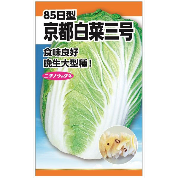 ニチノウのタネ 京都白菜三号（85日型） 日本農産種苗 4960599247209 1セット（5袋入）（直送品）