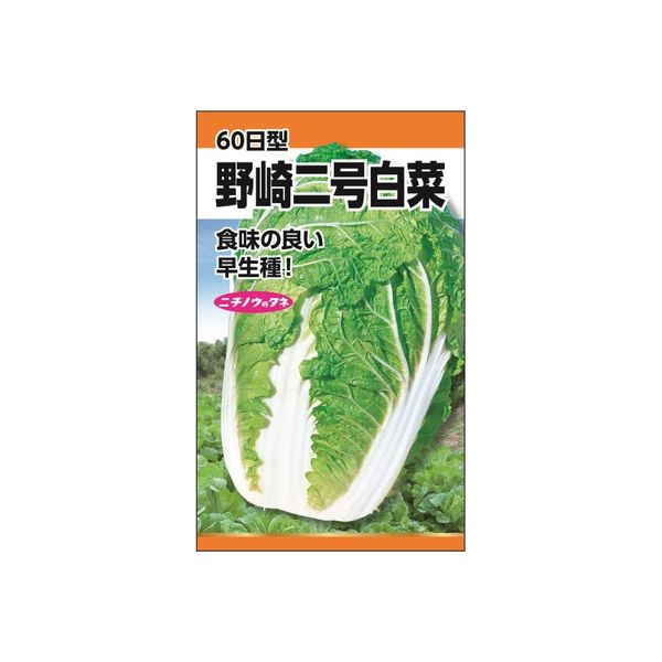 ニチノウのタネ 野崎二号白菜（60日型） 日本農産種苗 4960599247001 1セット（5袋入）（直送品）