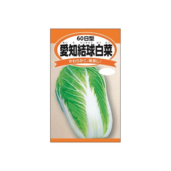 ニチノウのタネ 愛知結球白菜（60日型） 日本農産種苗 4960599247100 1セット（5袋入）（直送品）