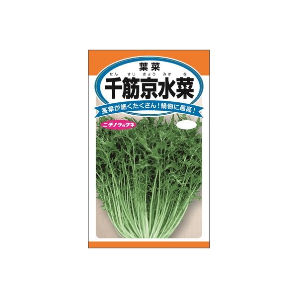 ニチノウのタネ 千筋京水菜 日本農産種苗 4960599256805 1セット（5袋入）（直送品）