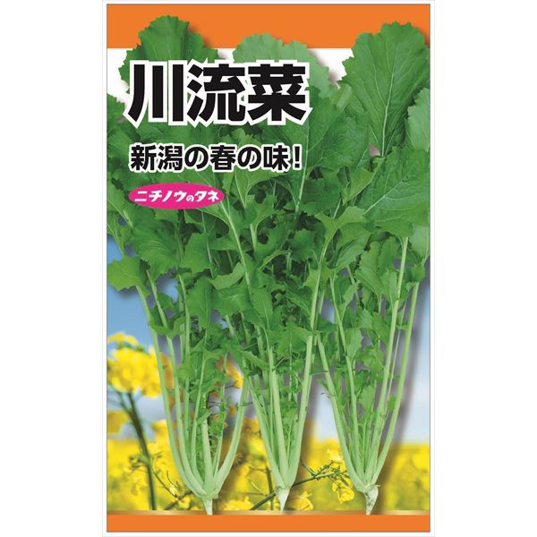 ニチノウのタネ 川流菜 日本農産種苗 4960599257109 1セット（5袋入）（直送品）