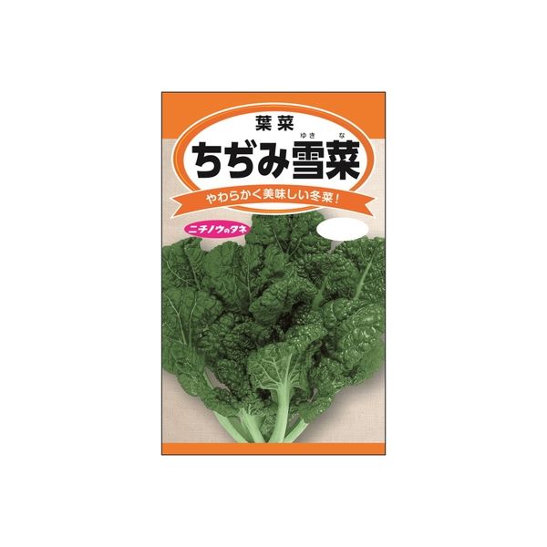 ニチノウのタネ ちぢみ雪菜 日本農産種苗 4960599257505 1セット（5袋入）（直送品）