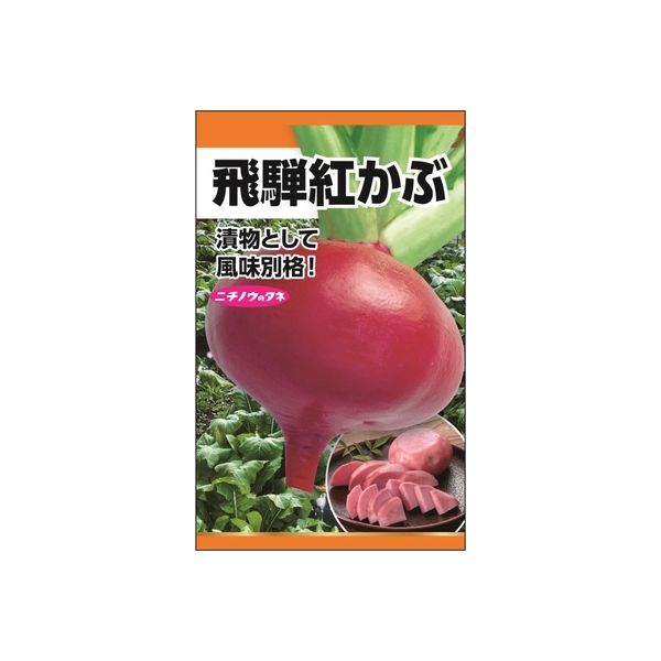 ニチノウのタネ 飛騨紅かぶ 日本農産種苗 4960599258205 1セット（5袋入）（直送品）