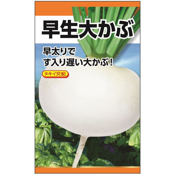 ニチノウのタネ タキイ交配 早生大かぶ 日本農産種苗 4960599258403 1セット（3袋入）（直送品）